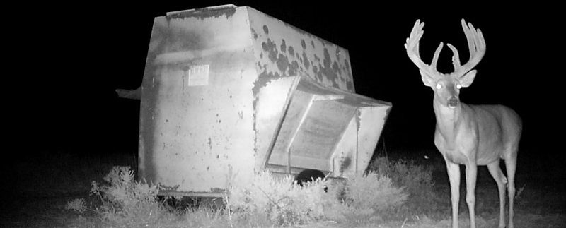 MOULTRIE DIGITAL GAME CAMERA