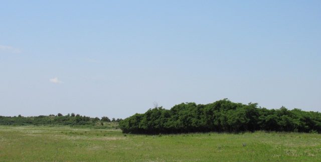 ok383IMG_0148
