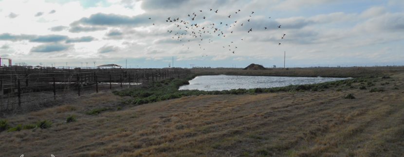 OK-418 Hunting Country Real Estate Farm For Sale-32