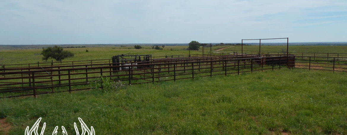 KS-437N (45 of 182)