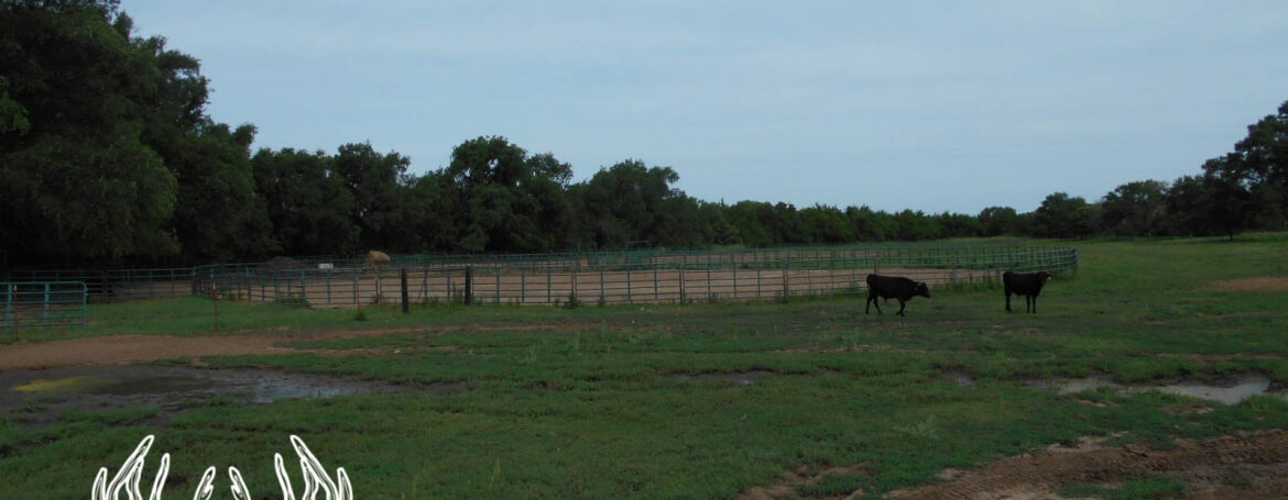 KS-437N (6 of 182)