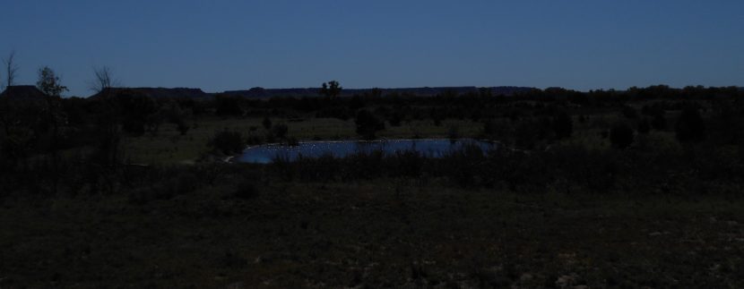 DSCN1661