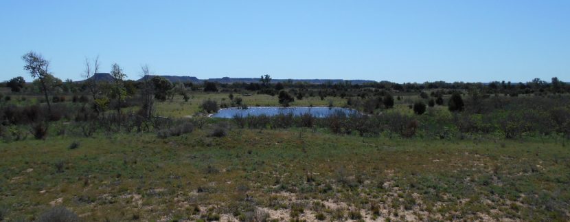 DSCN1663