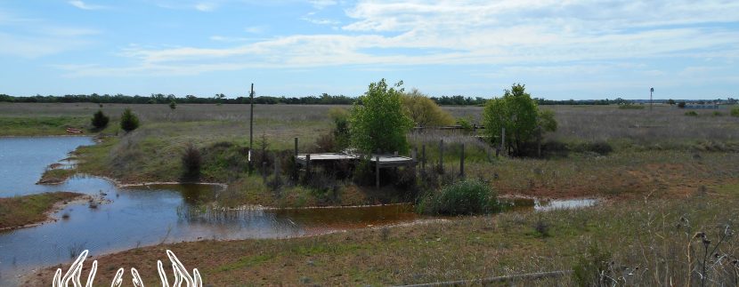 OK-464-22