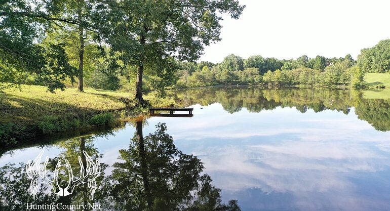 #AR-474 Lawrence County, Arkansas 360acres M/L