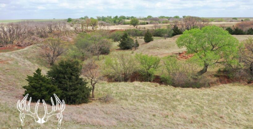 #OK-577 Online Auction – 5 Farms – Woods County, OK