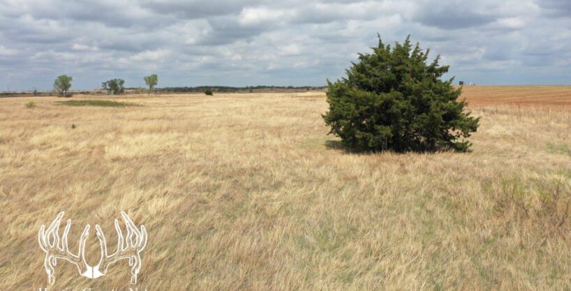 #OK-579 Online Auction – 5 Farms – Woods County, OK