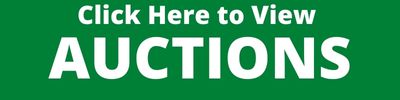 AUCTIONS BUTTON