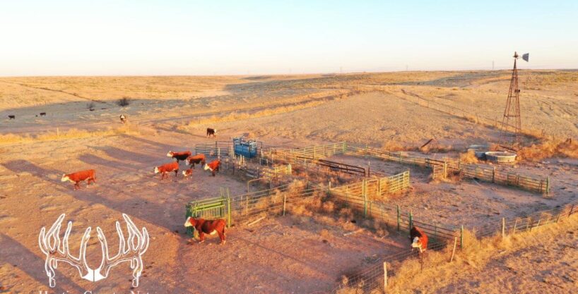 #OK-612 Texas County, Oklahoma 780 Acres M/L