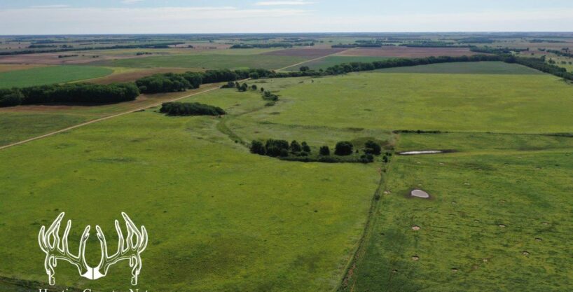 KS-634 Pratt County, Kansas 235 Acres M/L