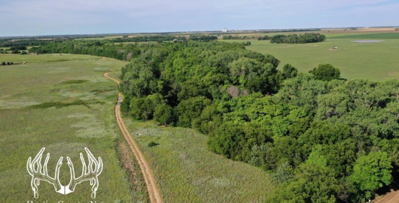 KS-633 Pratt County, Kansas 79 Acres M/L