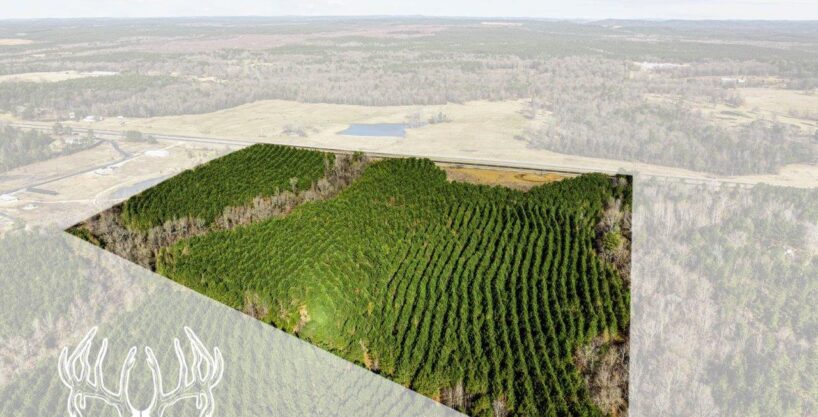 OK-666 McCurtain County, Oklahoma 32.85 Acres M/L