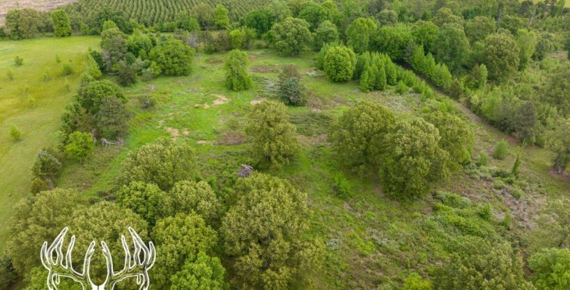 OK-681 McCurtain County, Oklahoma 110 Acres M/L
